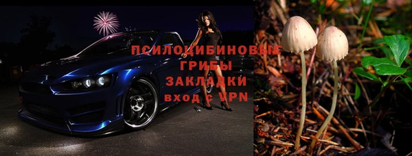 ПСИЛОЦИБИНОВЫЕ ГРИБЫ Баксан