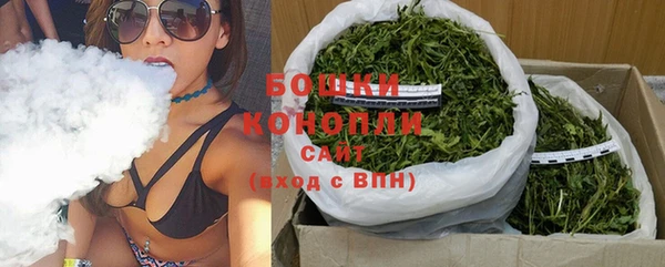 ПСИЛОЦИБИНОВЫЕ ГРИБЫ Баксан