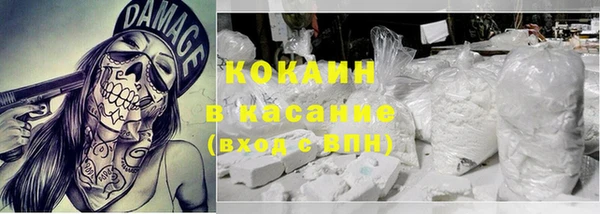 ПСИЛОЦИБИНОВЫЕ ГРИБЫ Баксан