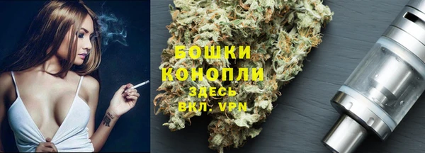 ПСИЛОЦИБИНОВЫЕ ГРИБЫ Баксан